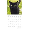 image Black Cats 2027 Wall Calendar Third Alternate Image