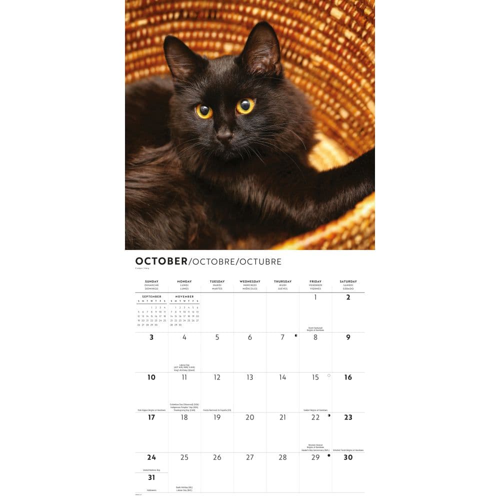 Black Cats 2027 Wall Calendar Fourth Alternate Image