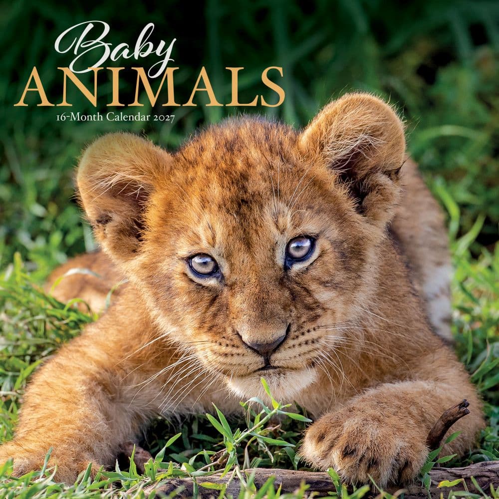 image Baby Animals 2027 Wall Calendar Main Product Image