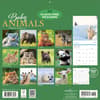 image Baby Animals 2027 Wall Calendar First Alternate Image