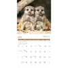 image Baby Animals 2027 Wall Calendar Third Alternate Image