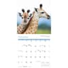 image Baby Animals 2027 Wall Calendar Fourth Alternate Image