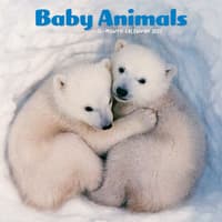 image Baby Animals 2027 Mini Wall Calendar Main Product Image