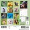 image Baby Animals 2027 Mini Wall Calendar First Alternate Image