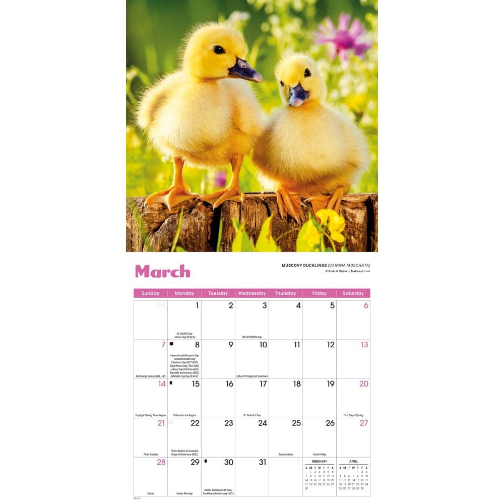 Baby Animals 2027 Mini Wall Calendar Second Alternate Image