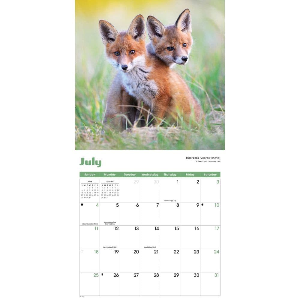 Baby Animals 2027 Mini Wall Calendar Third Alternate Image
