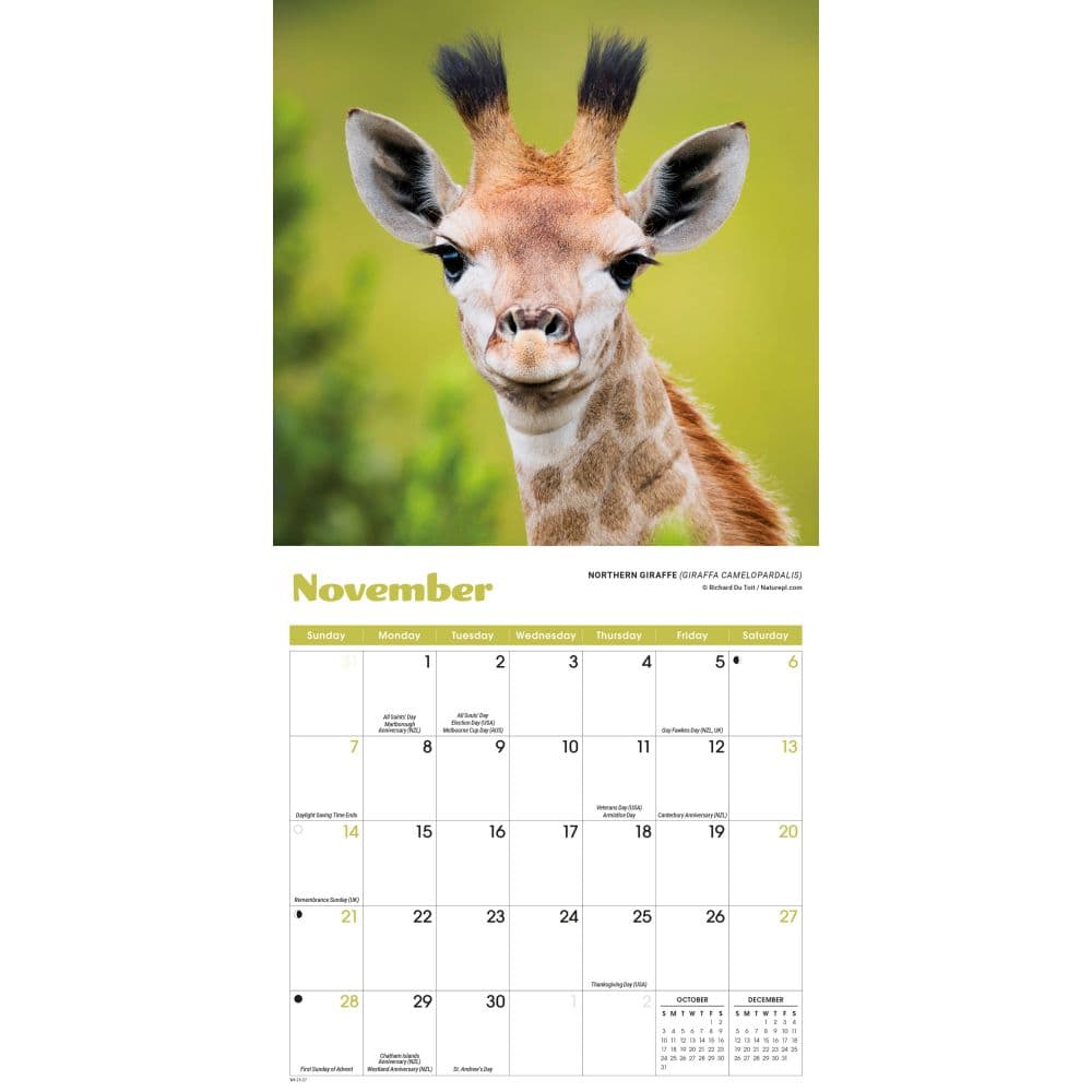 Baby Animals 2027 Mini Wall Calendar Fourth Alternate Image