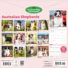 image Australian Shepherds 2027 Wall Calendar First Alternate Image