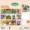 image Australian Cattle Dogs 2027 Wall Calendar First Alternate Image