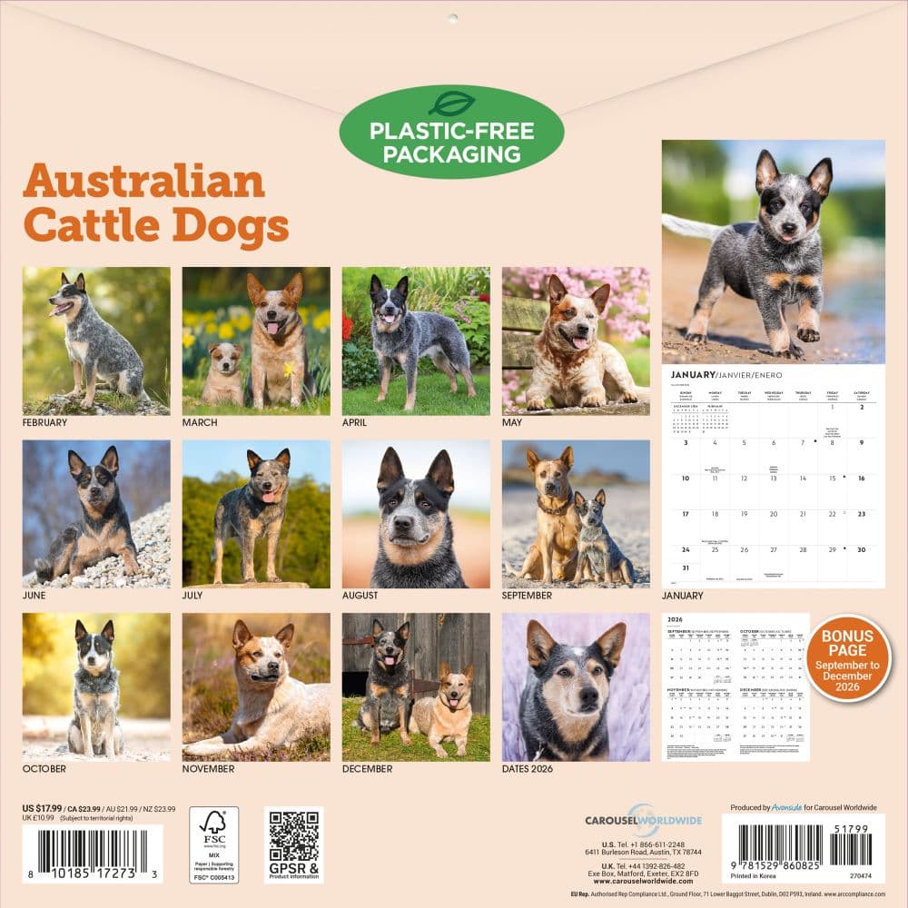 Australian Cattle Dogs 2027 Wall Calendar First Alternate Image
