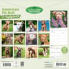 image Pit Bull Terrier Puppies 2027 Wall Calendar First Alternate Image
