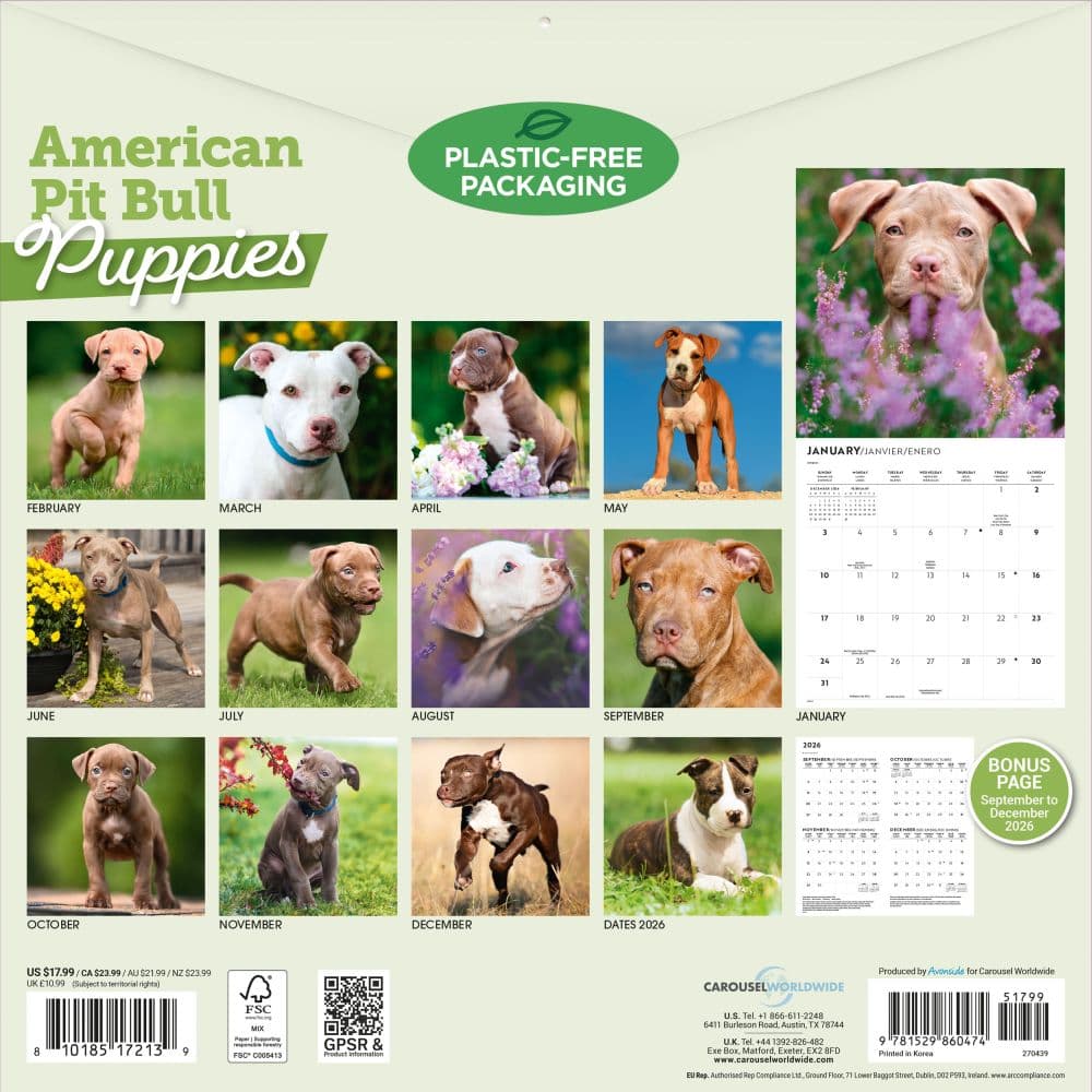 Pit Bull Terrier Puppies 2027 Wall Calendar First Alternate Image