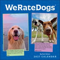 image We Rate Dogs 2027 Wall Calendar Main Product Image