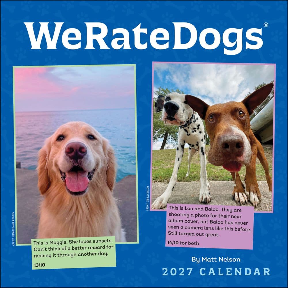 image We Rate Dogs 2027 Wall Calendar Main Product Image