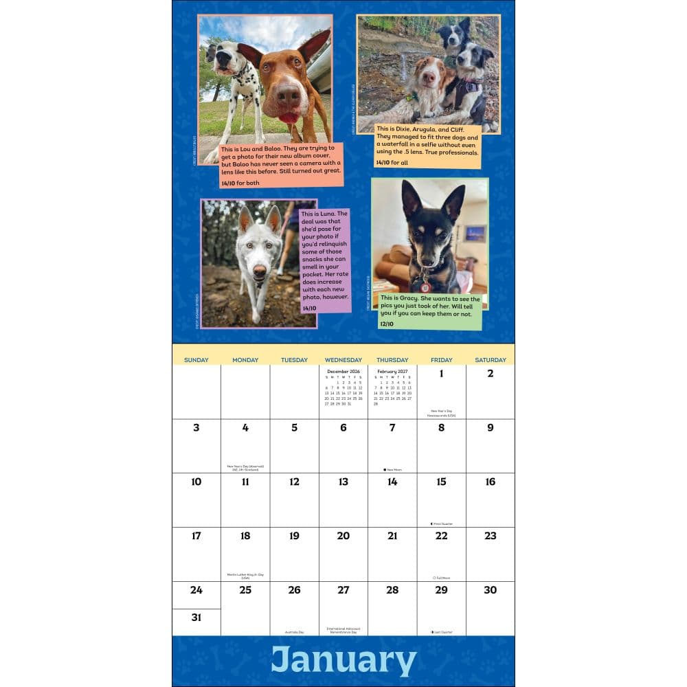 We Rate Dogs 2027 Wall Calendar Second Alternate Image
