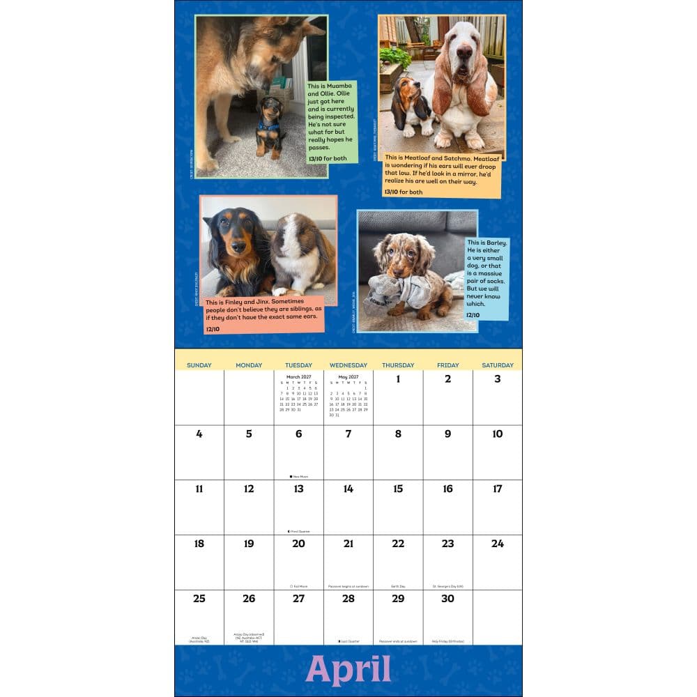 We Rate Dogs 2027 Wall Calendar Third Alternate Image