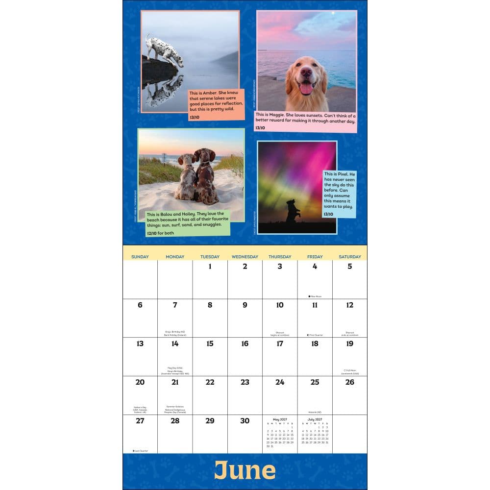 We Rate Dogs 2027 Wall Calendar Fourth Alternate Image