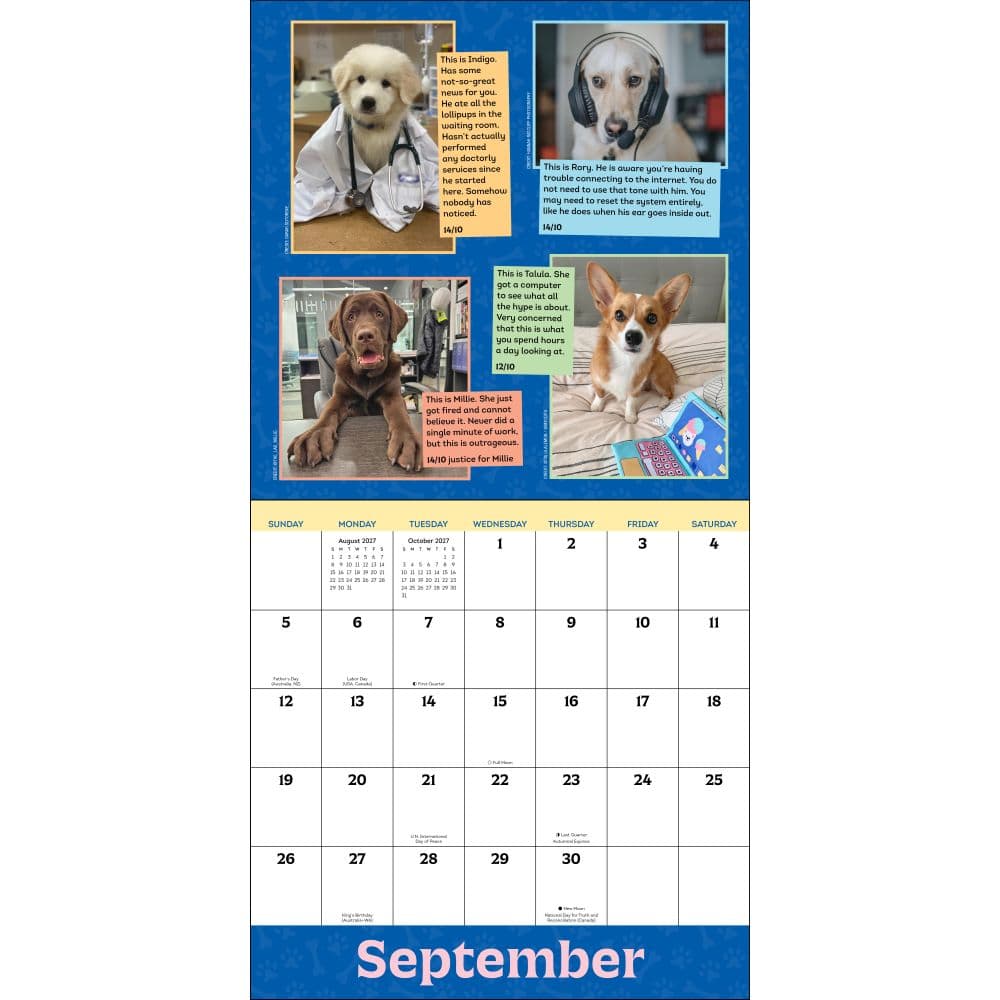 We Rate Dogs 2027 Wall Calendar Fifth Alternate Image