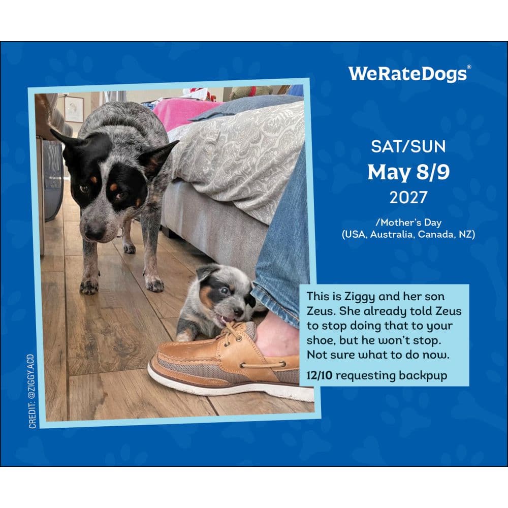 We Rate Dogs 2027 Desk Calendar Second Alternate Image