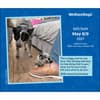 image We Rate Dogs 2027 Desk Calendar Second Alternate Image