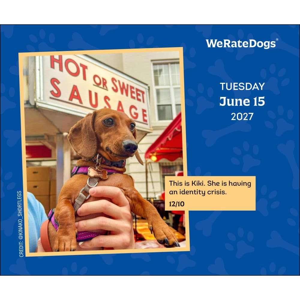 We Rate Dogs 2027 Desk Calendar Third Alternate Image