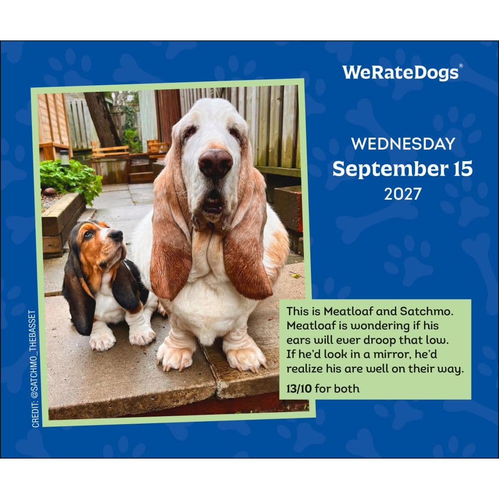 We Rate Dogs 2027 Desk Calendar Fourth Alternate Image