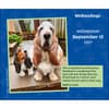 image We Rate Dogs 2027 Desk Calendar Fourth Alternate Image