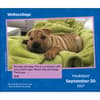image We Rate Dogs 2027 Desk Calendar Fifth Alternate Image