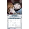 image Star Trek Cats of the USS Enterprise 2027 Wall Calendar Second Alternate Image