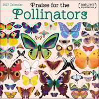 image Praise for the Pollinators 2027 Wall Calendar Main Product Image
