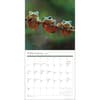image Power of Now 2027 Wall Calendar Third Alternate Image