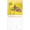 image Power of Now 2027 Wall Calendar Fifth Alternate Image