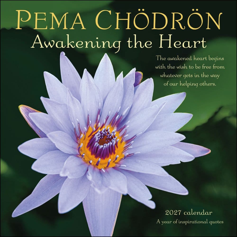 Pema Chodron 2027 Wall Calendar Main Product Image