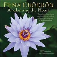 image Pema Chodron 2027 Wall Calendar Main Product Image