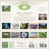 image Pema Chodron 2027 Wall Calendar First Alternate Image