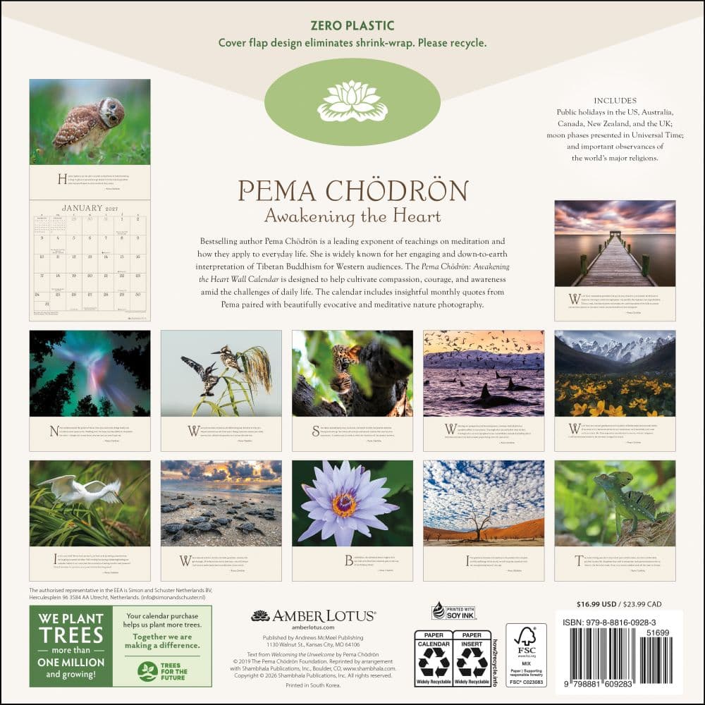 Pema Chodron 2027 Wall Calendar First Alternate Image