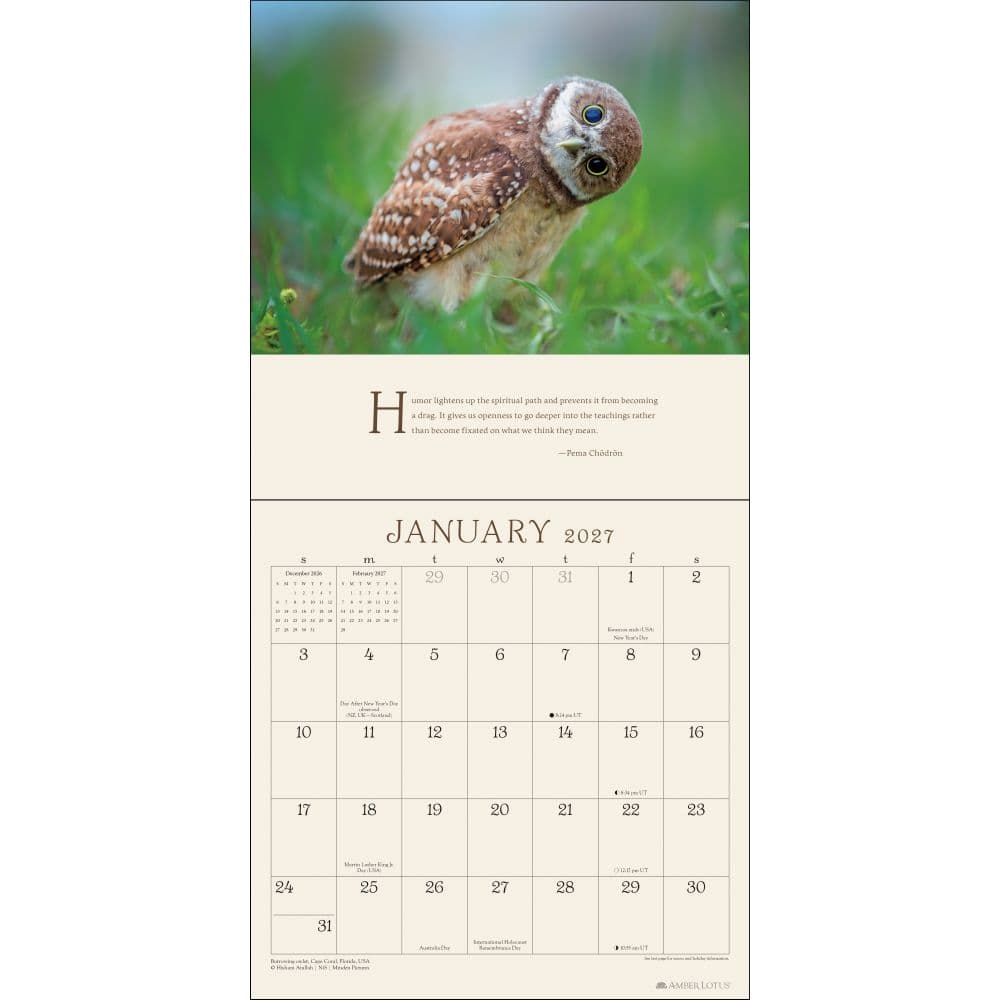 Pema Chodron 2027 Wall Calendar Second Alternate Image