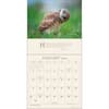image Pema Chodron 2027 Wall Calendar Second Alternate Image