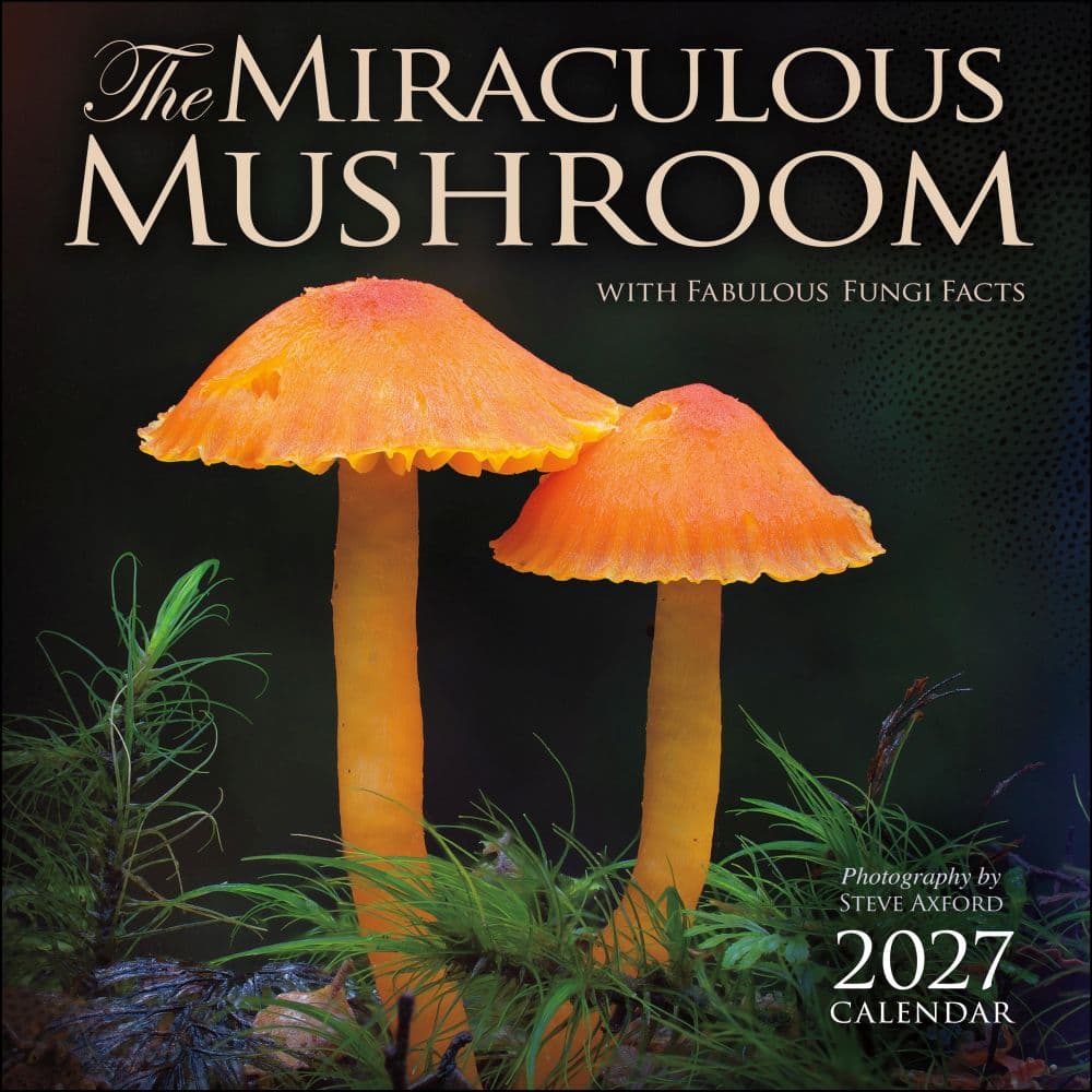 Miraculous Mushroom 2027 Wall Calendar Main Product Image