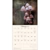 image Miraculous Mushroom 2027 Wall Calendar Second Alternate Image