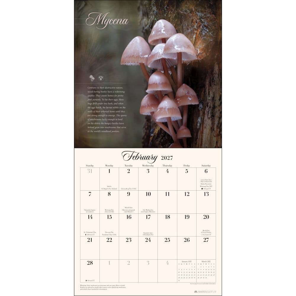 Miraculous Mushroom 2027 Wall Calendar Second Alternate Image