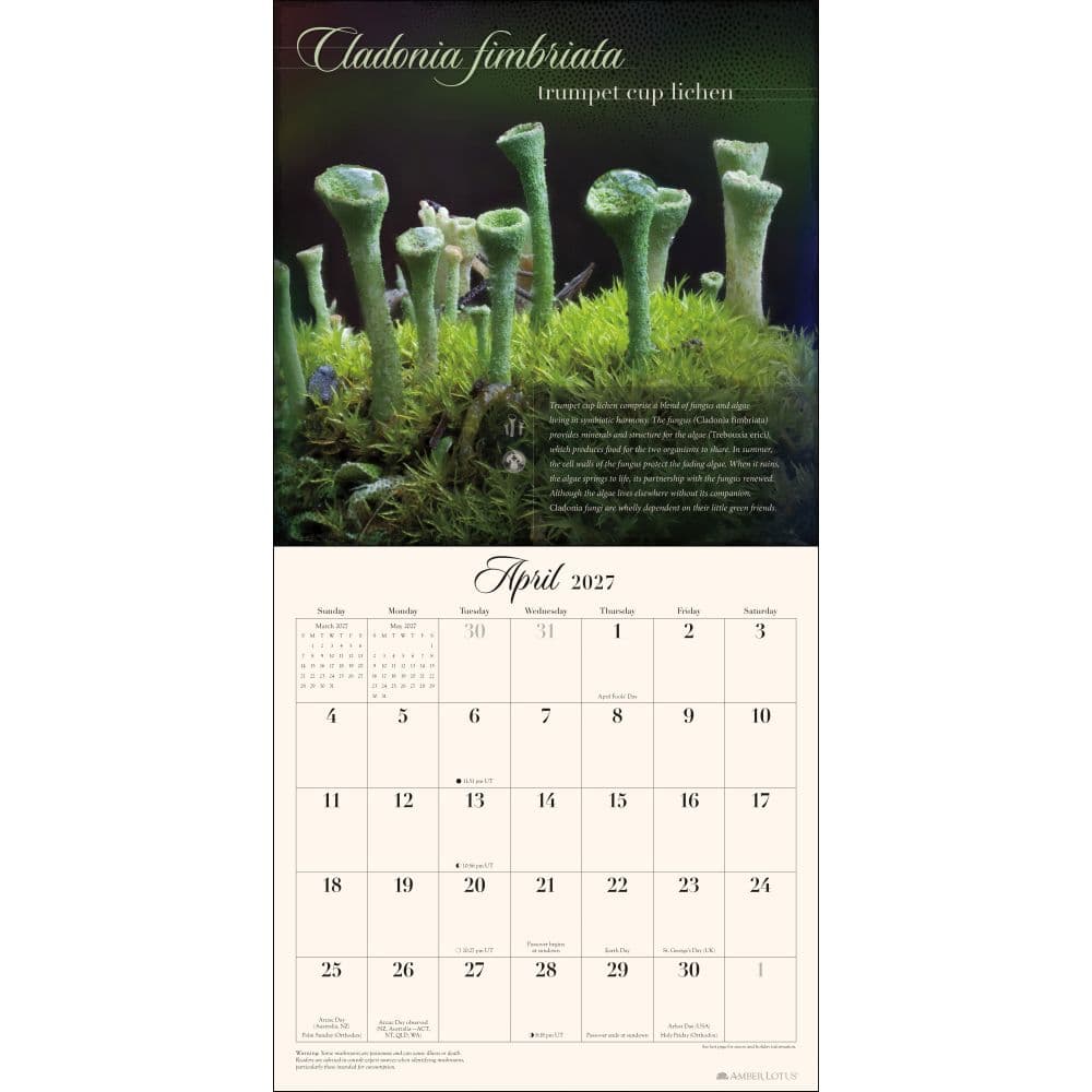 Miraculous Mushroom 2027 Wall Calendar Third Alternate Image