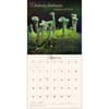 image Miraculous Mushroom 2027 Wall Calendar Third Alternate Image