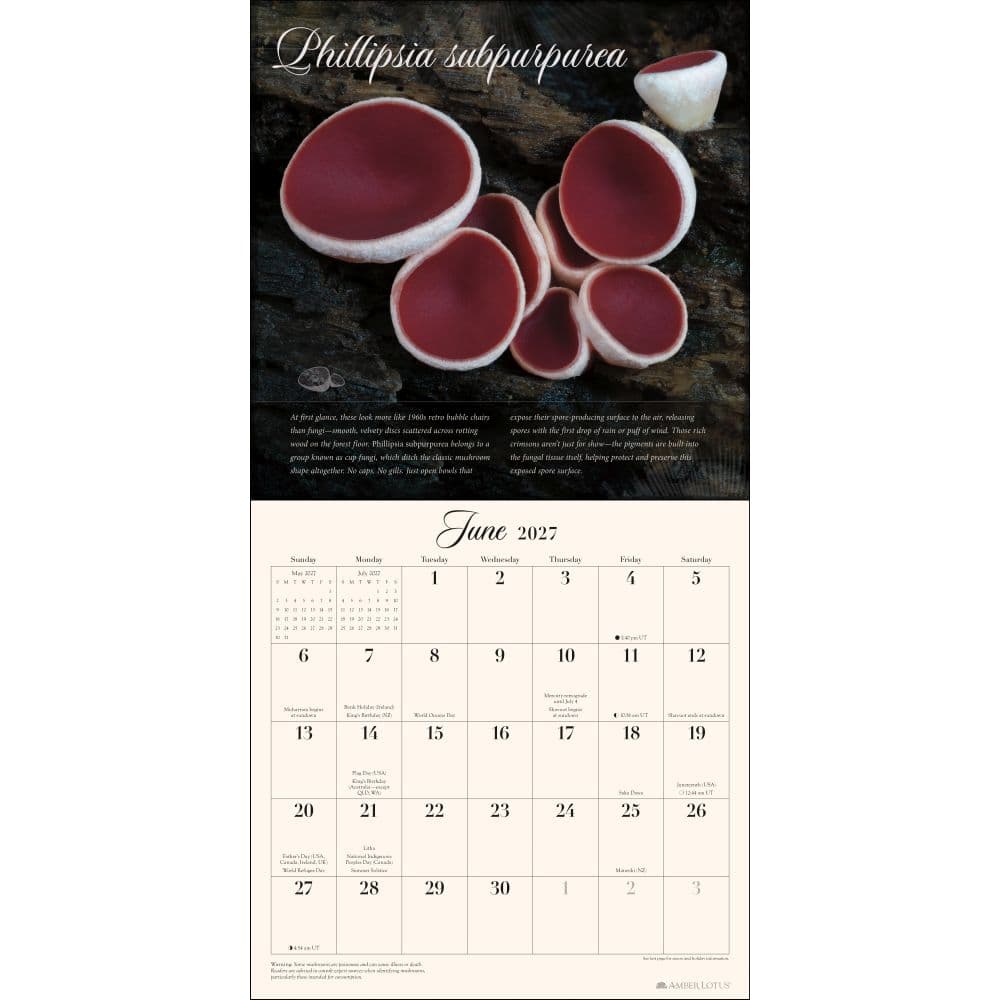 Miraculous Mushroom 2027 Wall Calendar Fourth Alternate Image