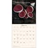 image Miraculous Mushroom 2027 Wall Calendar Fourth Alternate Image
