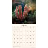 image Miraculous Mushroom 2027 Wall Calendar Fifth Alternate Image