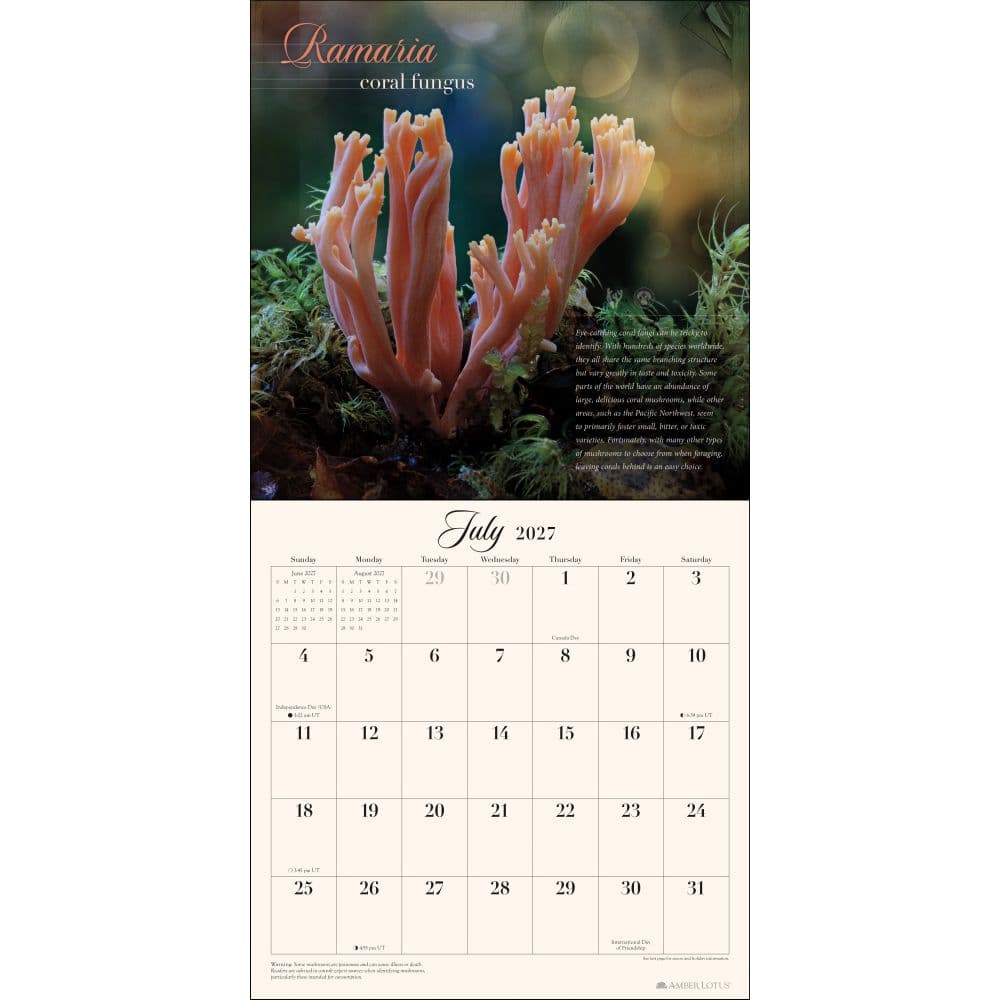 Miraculous Mushroom 2027 Wall Calendar Fifth Alternate Image