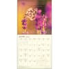 image Meditation 2027 Wall Calendar Fourth Alternate Image