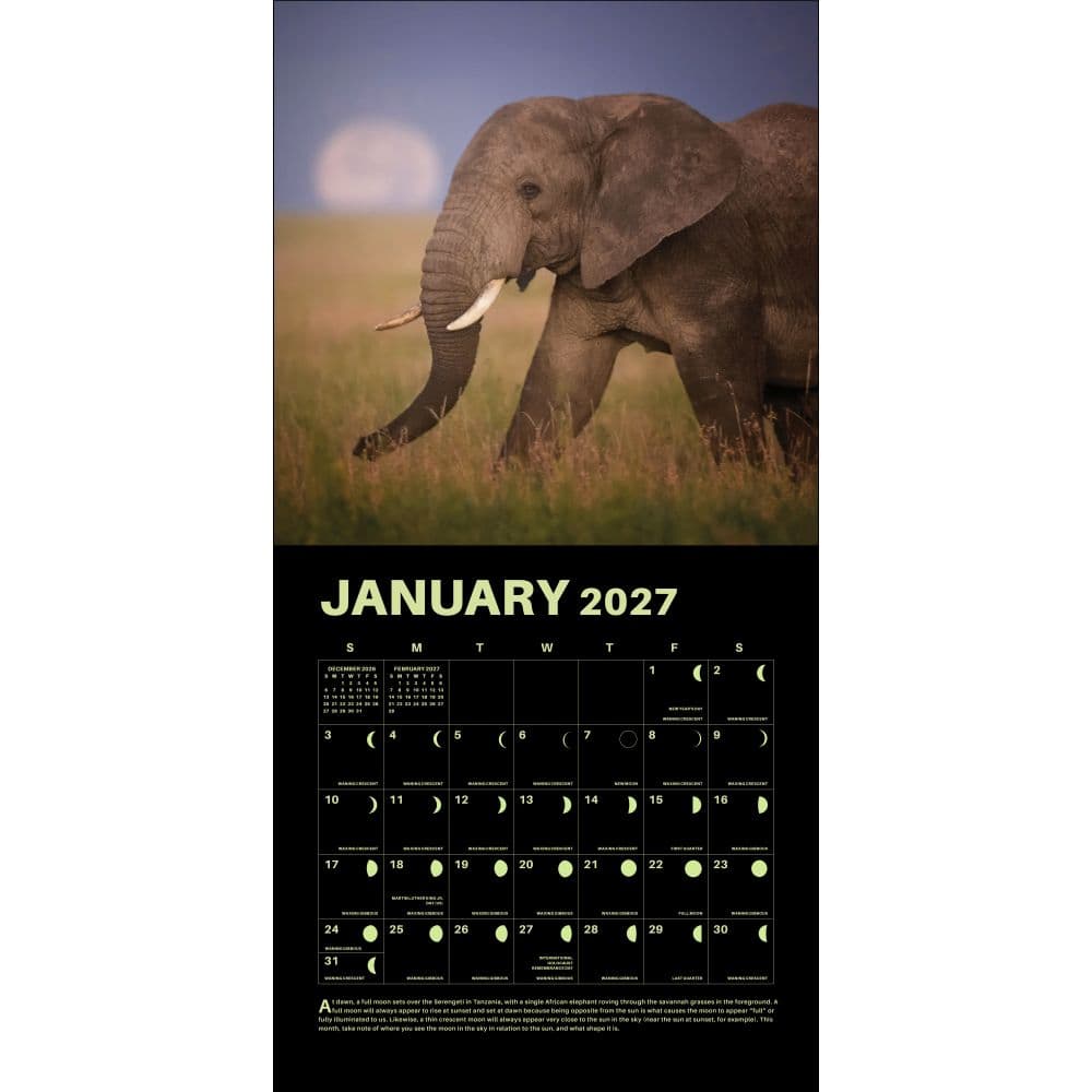 Lunar Year 2027 Wall Calendar Third Alternate Image