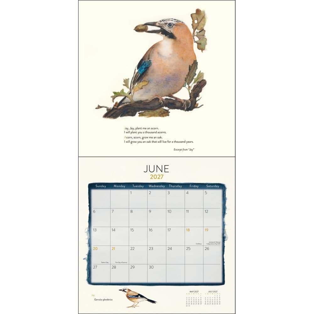 Lost Spells 2027 Wall Calendar Second Alternate Image